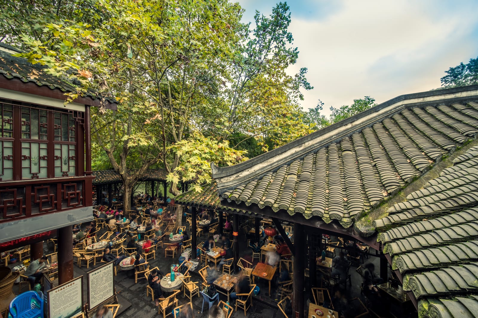 Chengdu — Chengdu Highlights: Mount Qingcheng & Dujiangyan