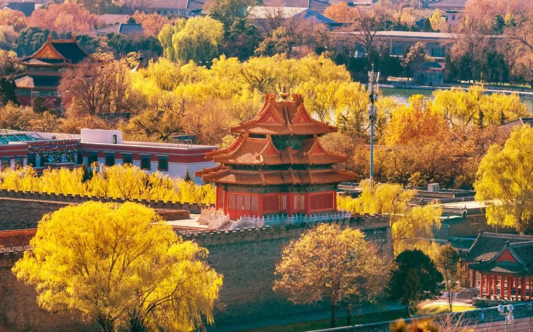Autumn in Beijing, Source: Chinese Artist