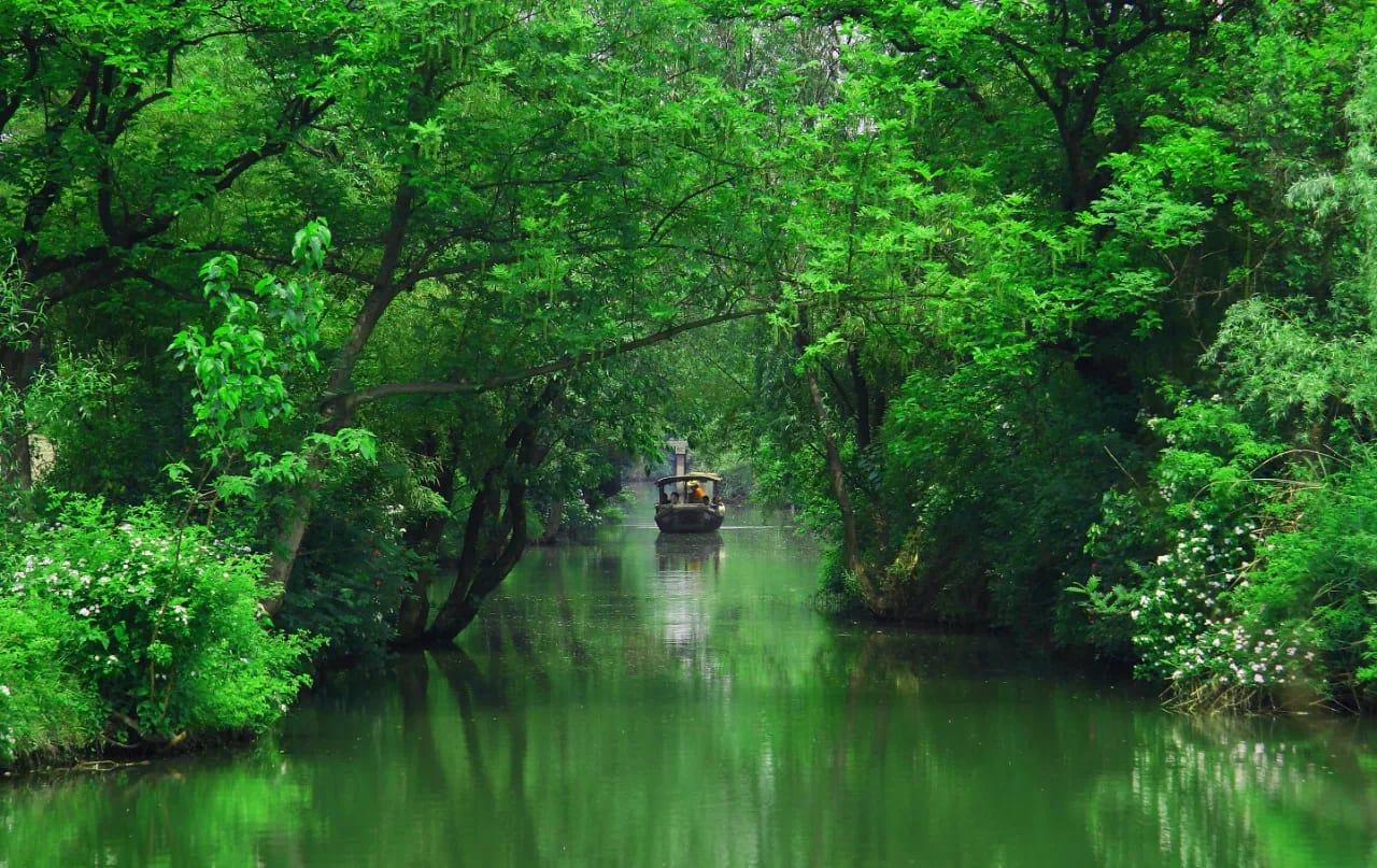 Xixi National Wetland Park