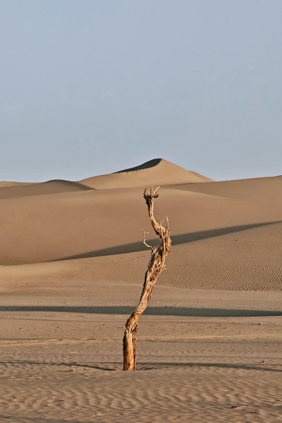 Taklamakan Desert, Source: @恰恰好呀：