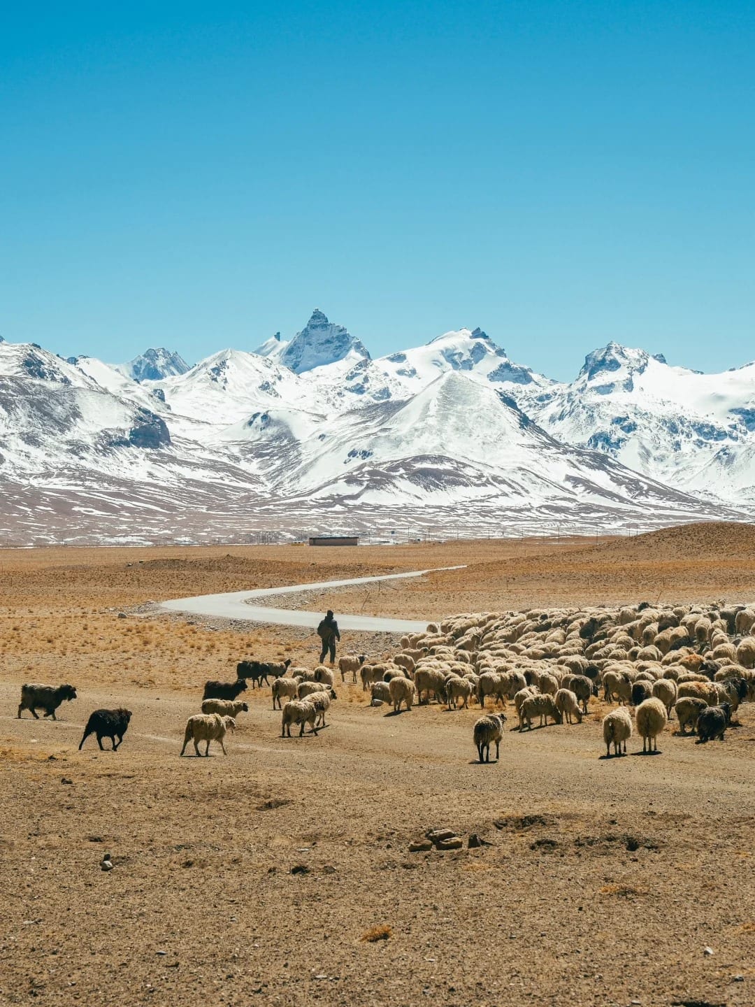 Tibetan Plateau, Source: @Seven Song