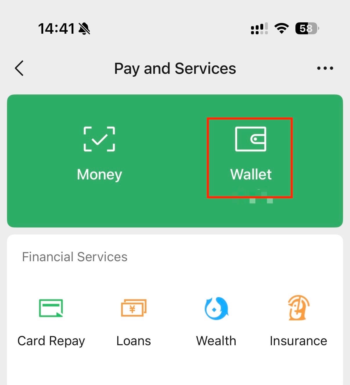 WeChat “Wallet” Interface