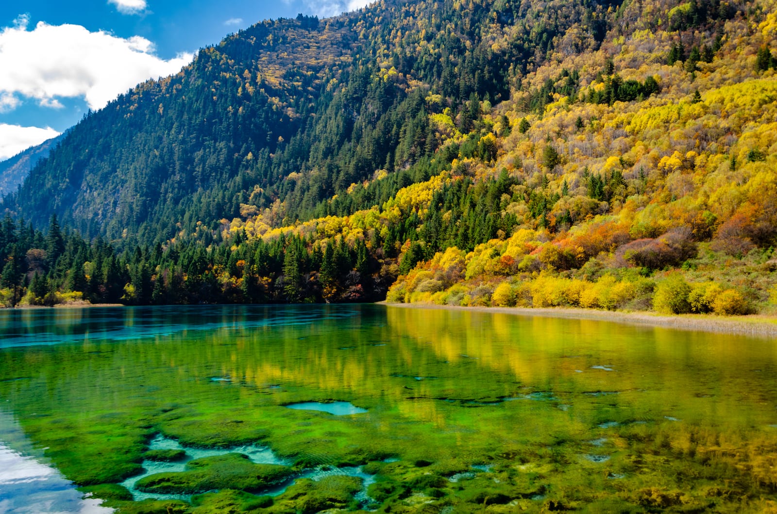 Jiuzhaigou National Park — Ancient Echoes: A Heritage Journey through China's Historic Cities and Natural Wonders