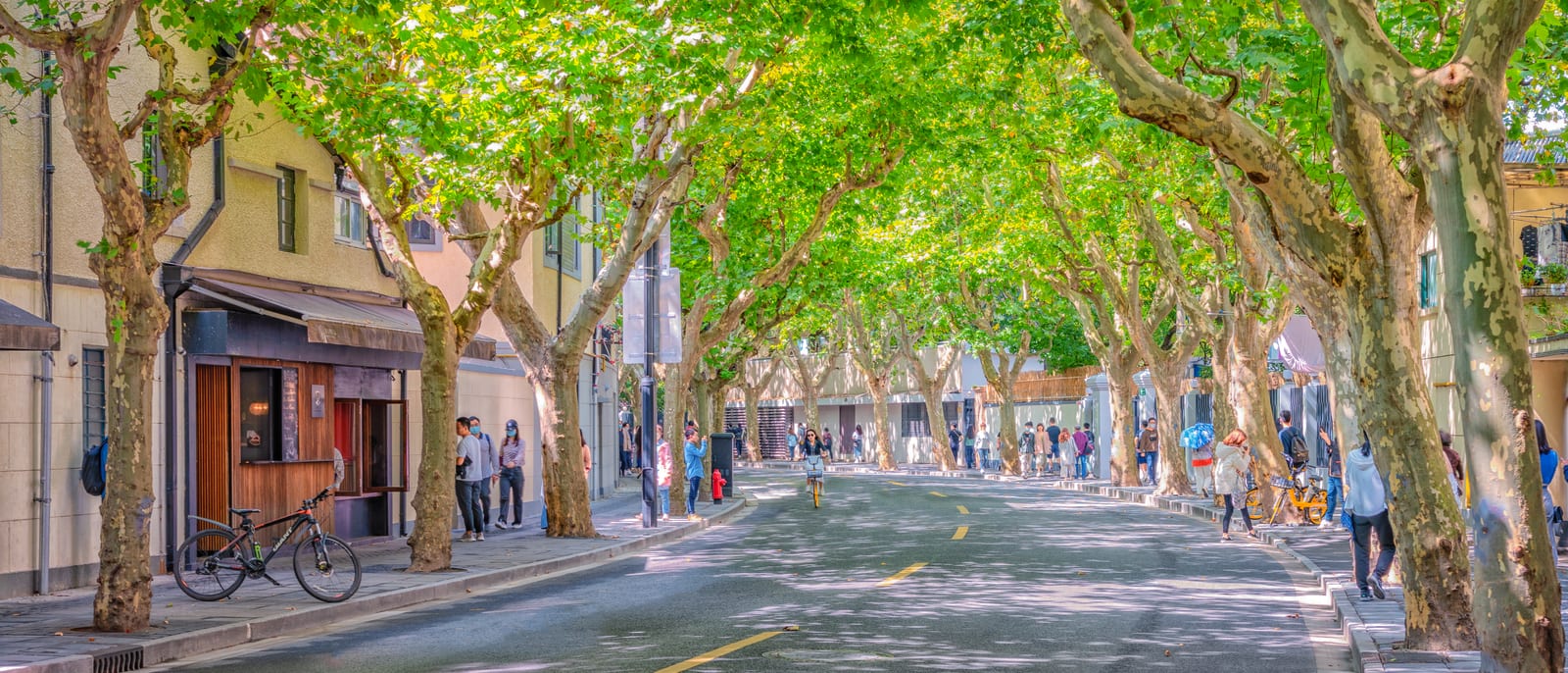 Anfu Road — China’s Iconic Cities and the Pulse of Local Life