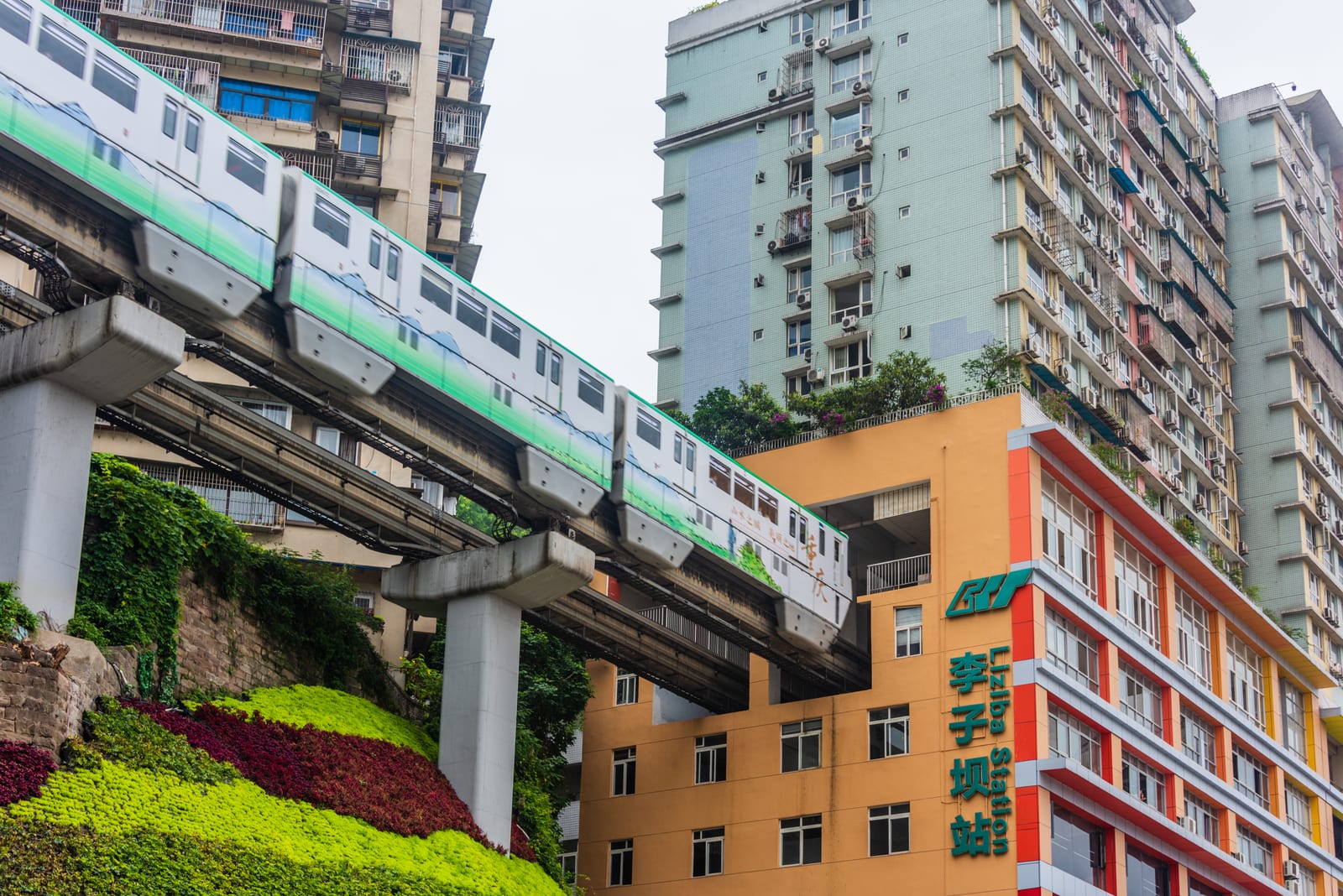 Liziba Station — China’s Iconic Cities and the Pulse of Local Life