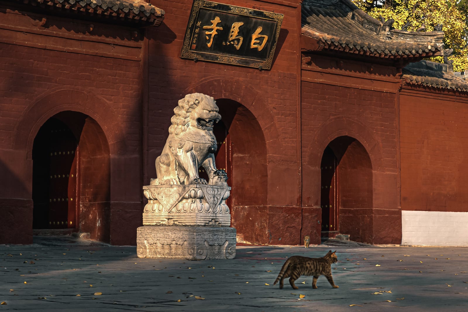White Horse Temple — Ancient Capitals Discovery: A Heritage Journey Through China's Heartland