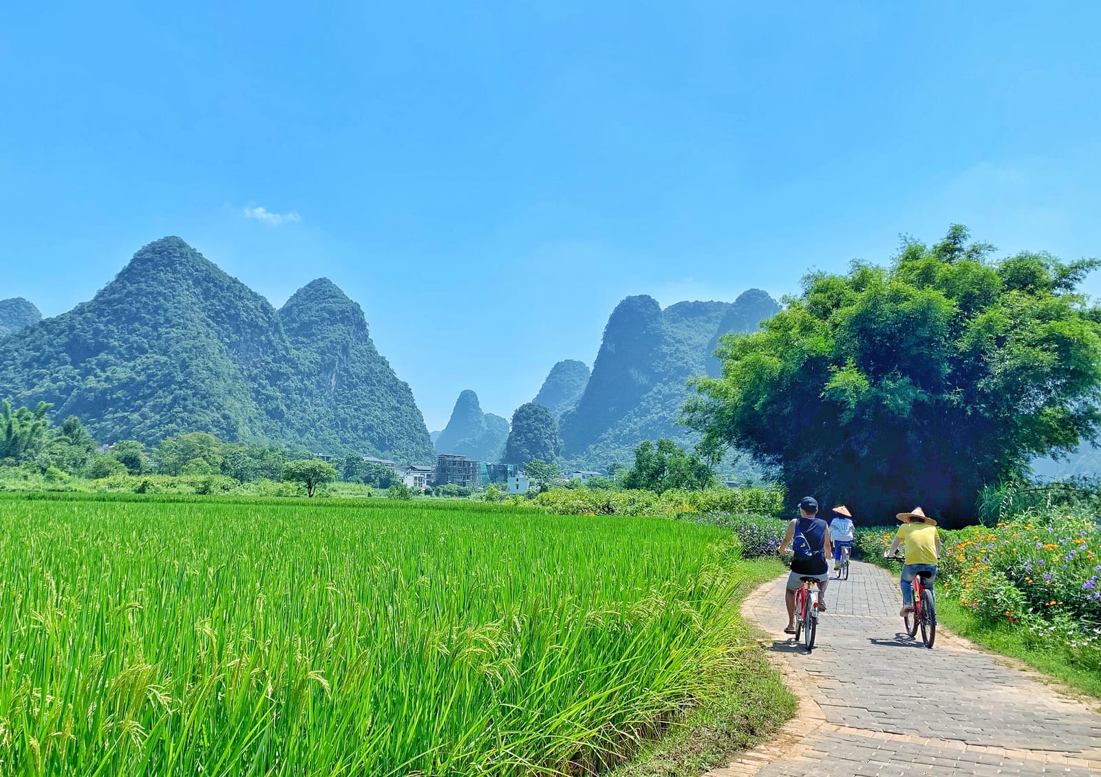Bicycle Ride — First impression: China in Full Spectrum