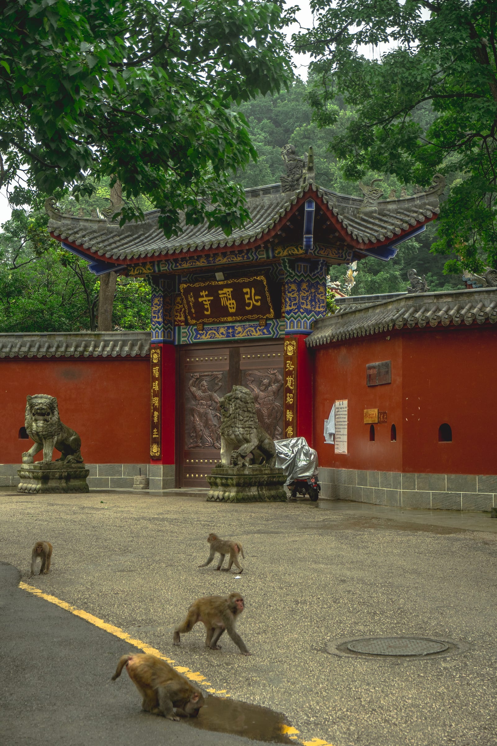 Hongfu Temple — China’s Ultimate Natural Landscapes