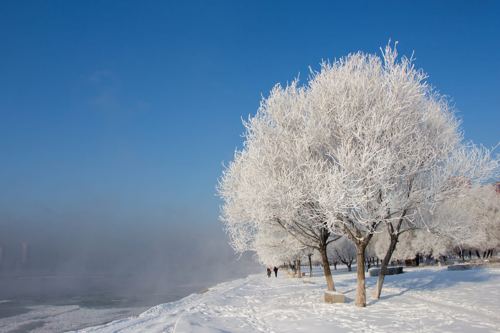 Jilin City Songhua River Rime — Northern Horizons: A Cultural Journey through Northeast China