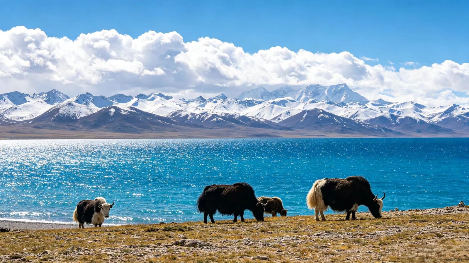 Namtso Lake — The Spirit of Southwest China: Chengdu & Tibet Explorer