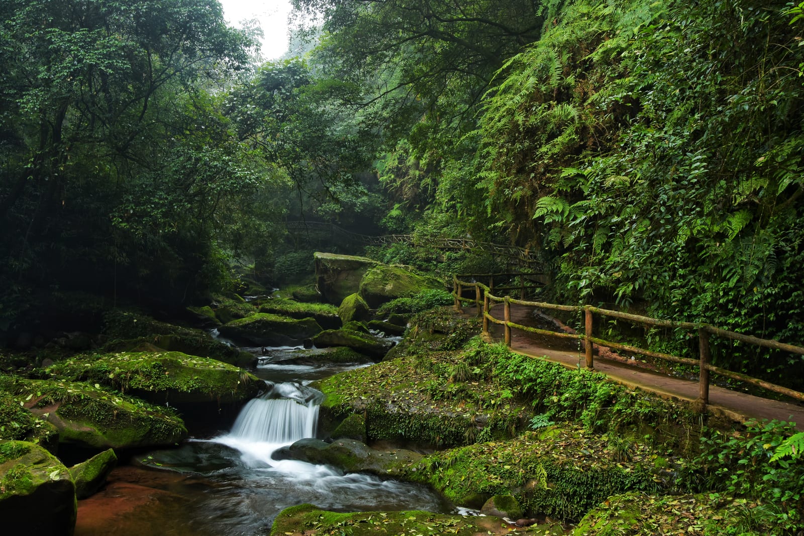 Bifengxia — Southwest China in Five Voices: A 13-Day Journey from the Stone Forest to the Mountains of Kham