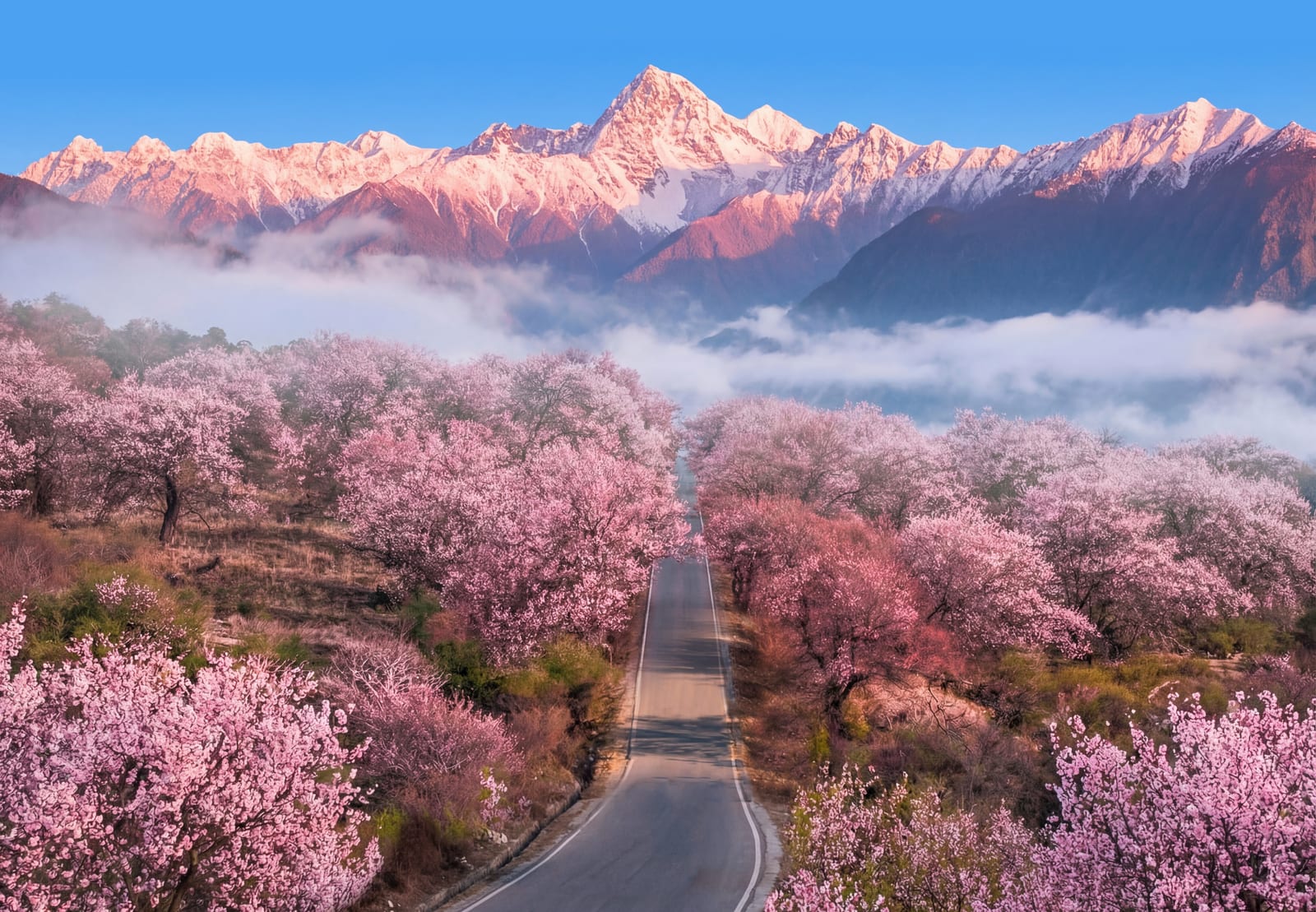 Namcha Barwa And Nyingchi Peach Blossoms — Enjoy Tibet: 8-Day Journey