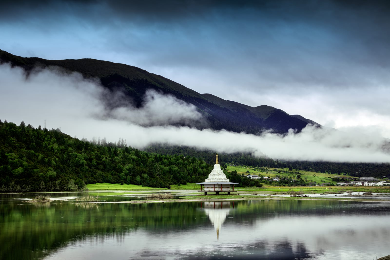 Lulang Forest Sea And Alpine Ranch — Enjoy Tibet: 8-Day Journey
