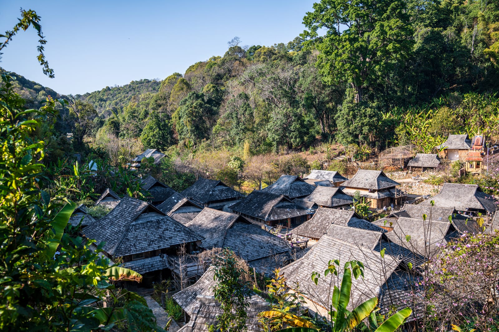 Nuogan Dai Village — 8-Day Xishuangbanna, Jingmai Mountain & Pu'er Discovery: Ancient Tea Forests, Ethnic Villages and the Tea Horse Trail