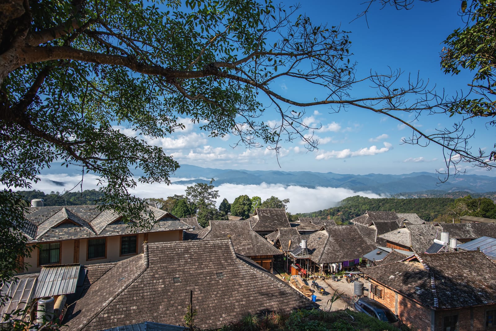 Jingmai Mountain — 8-Day Xishuangbanna, Jingmai Mountain & Pu'er Discovery: Ancient Tea Forests, Ethnic Villages and the Tea Horse Trail