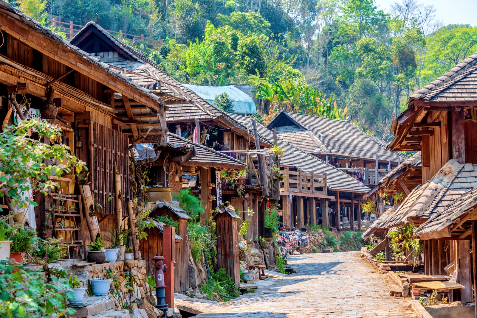 Nuogan Dai Village — 8-Day Xishuangbanna, Jingmai Mountain & Pu'er Discovery: Ancient Tea Forests, Ethnic Villages and the Tea Horse Trail