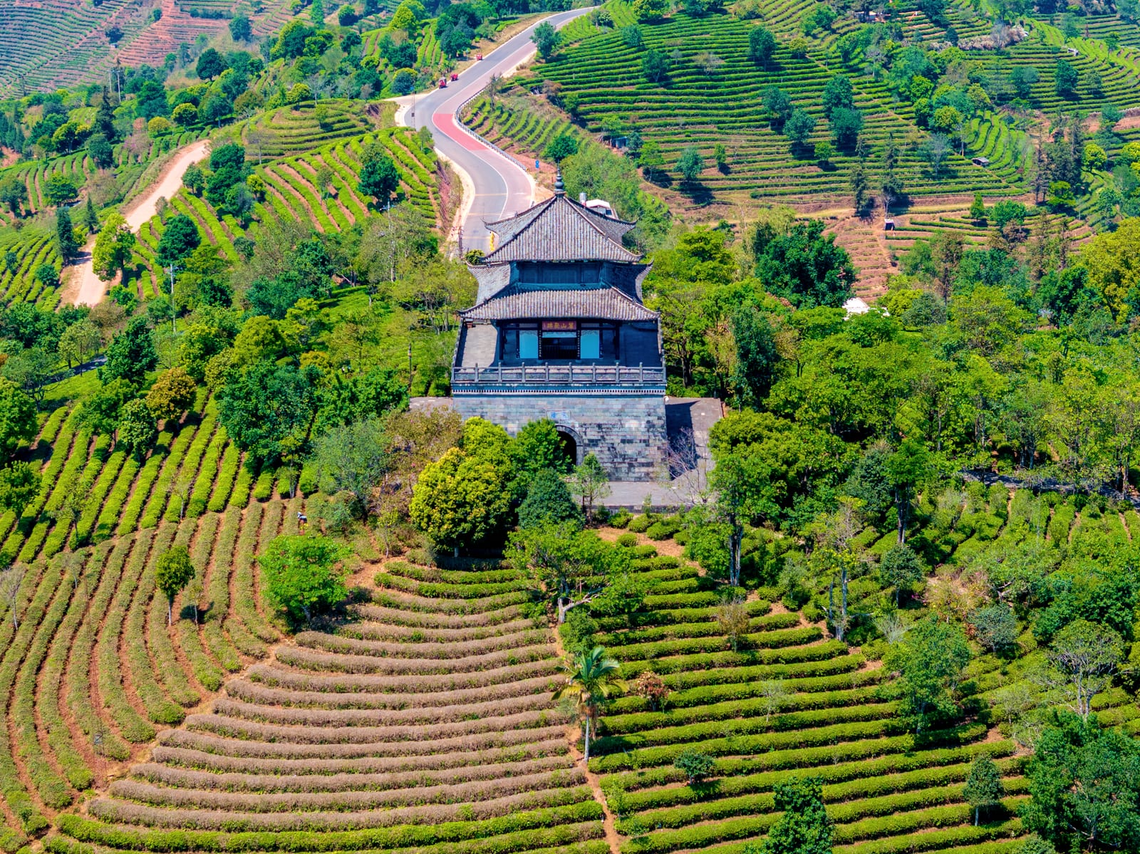 Puer Tea Expo Garden — 8-Day Xishuangbanna, Jingmai Mountain & Pu'er Discovery: Ancient Tea Forests, Ethnic Villages and the Tea Horse Trail