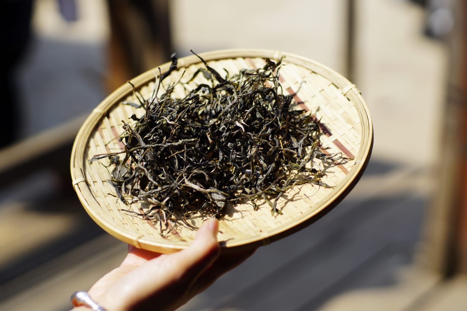 Tea Making — 8-Day Xishuangbanna, Jingmai Mountain & Pu'er Discovery: Ancient Tea Forests, Ethnic Villages and the Tea Horse Trail